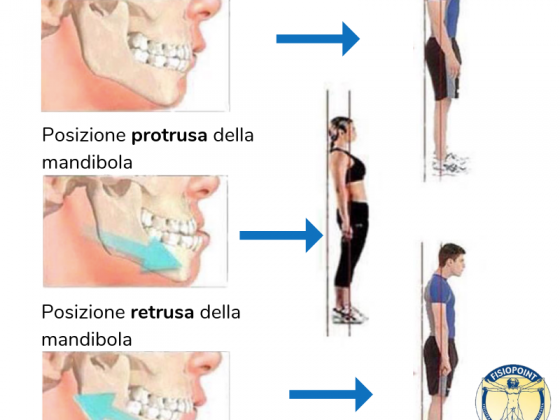 Posizione normale della mandibola